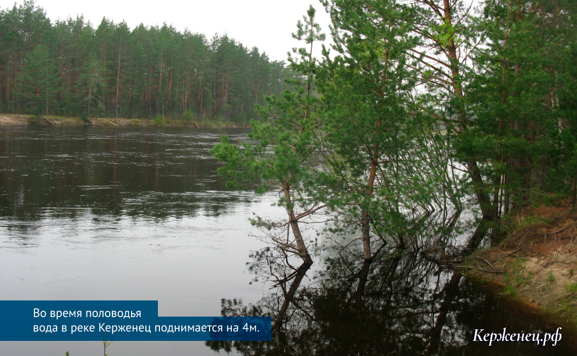 Во время половодья вода в реке Керженец поднимается на 4 метра